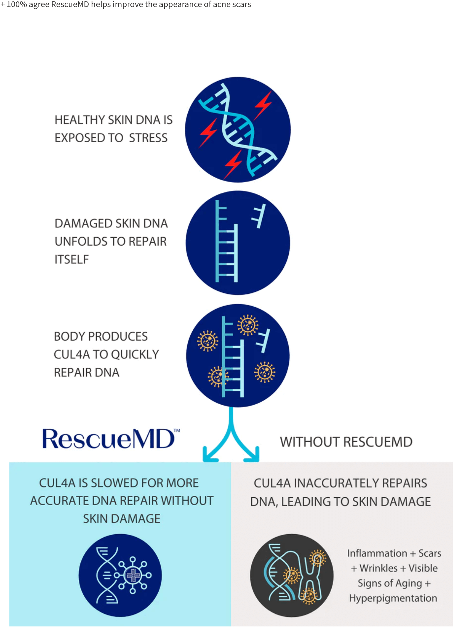 Rescue MD with Lapachol Suppor